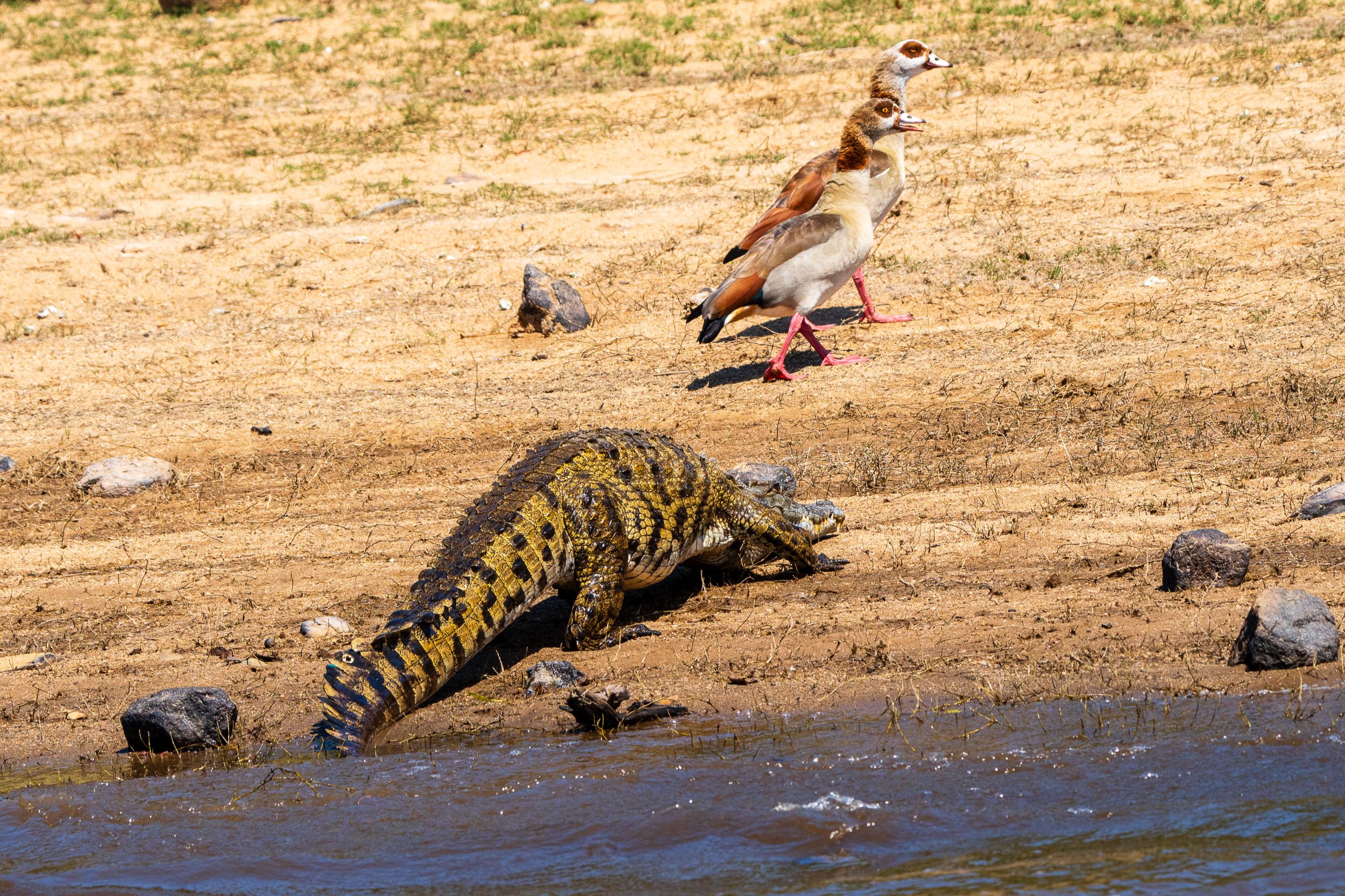 20231006 133438 Fotobuch Südafrika 02655